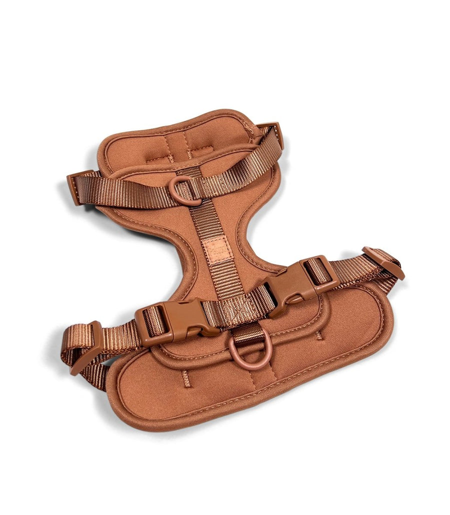 Escape-Proof Dog Harness Guide: How to Stop Your Dog Slipping Out