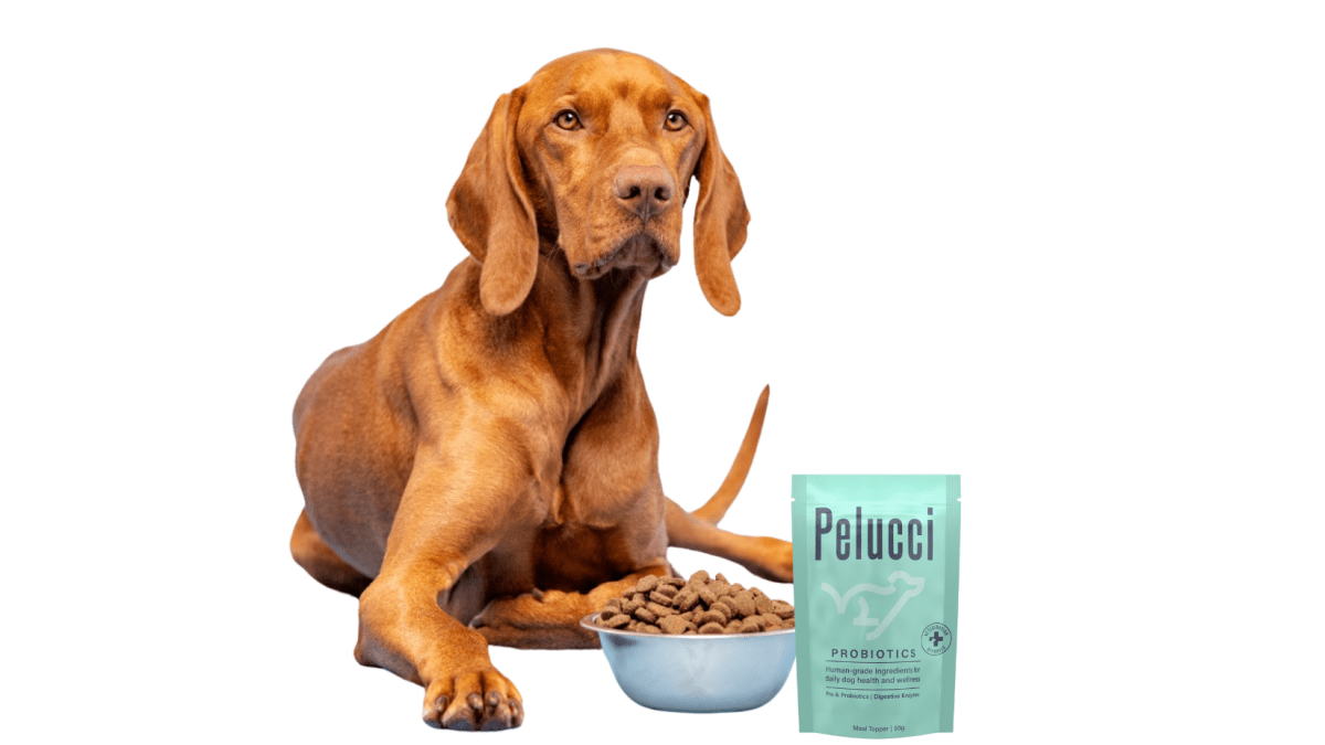 Probiotics & Prebiotics - Pelucci