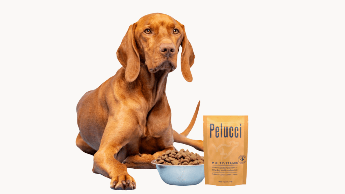 Multivitamin - Pelucci