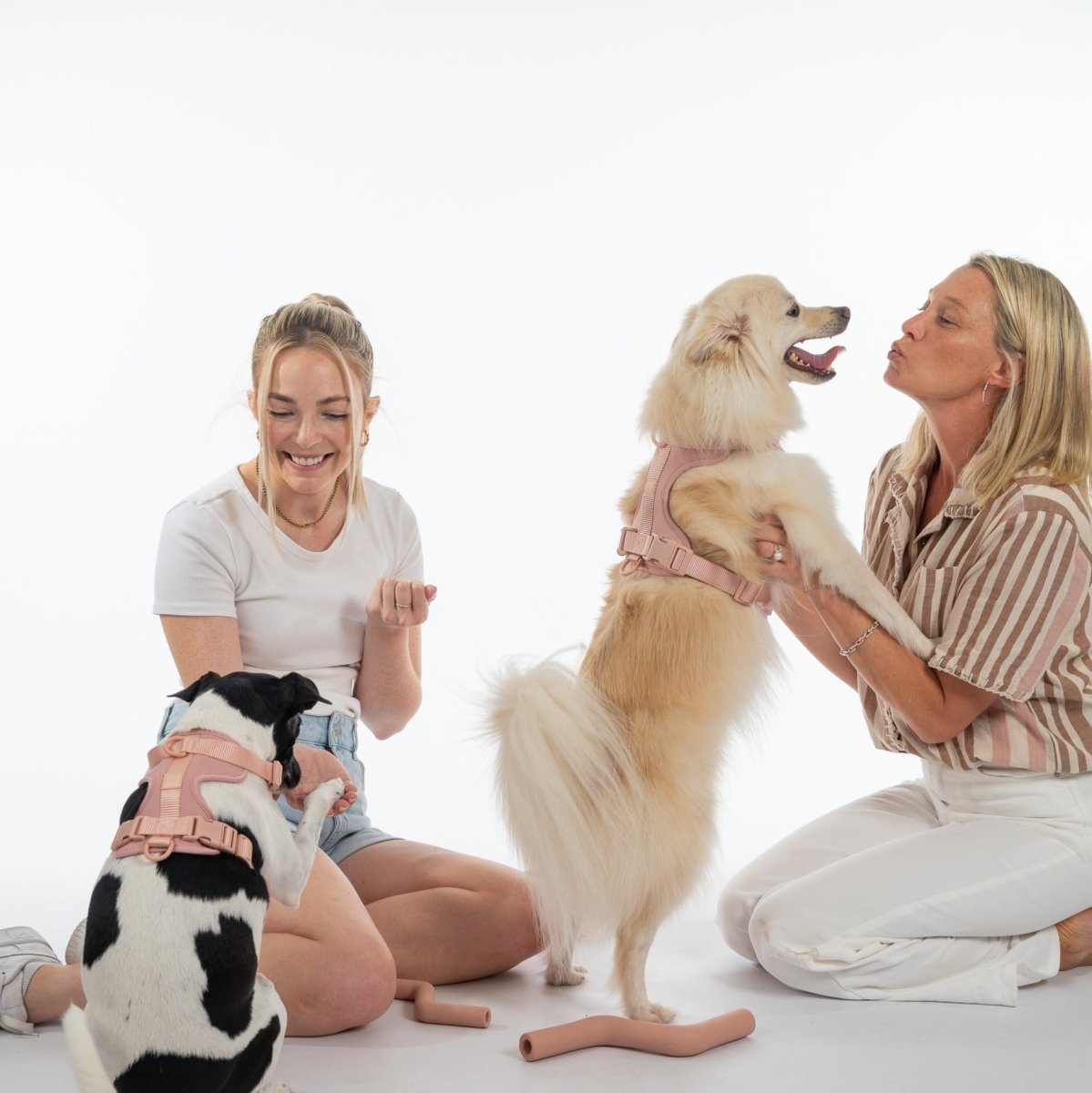 Harness Walk Kit - Pelucci