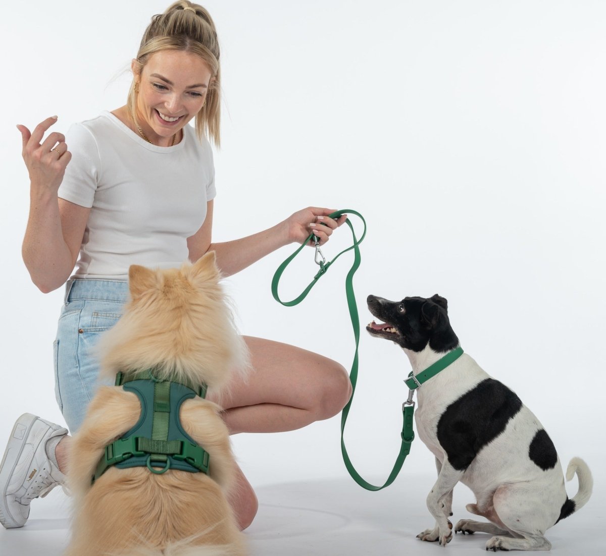 Harness Walk Kit - Pelucci