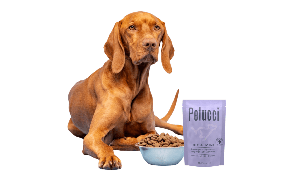 Hip & Joint - Pelucci