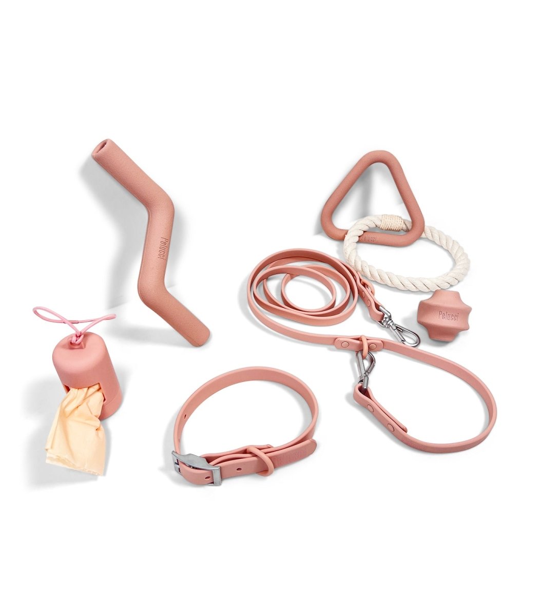 Collar Walk & Play Pack- Pelucci