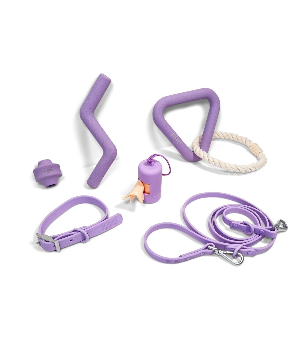 Collar Walk & Play Pack Pelucci