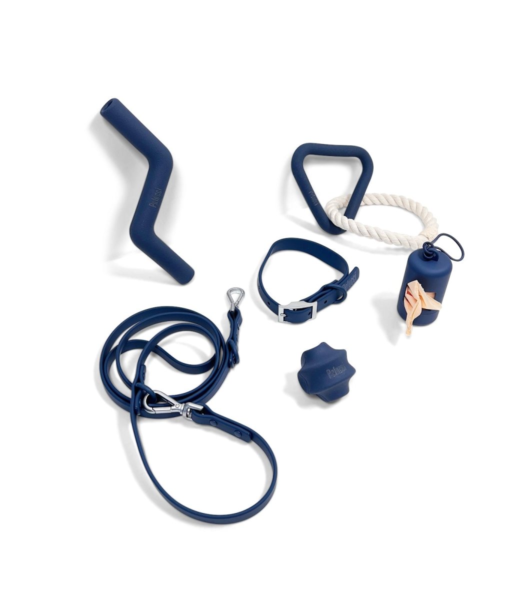 Collar Walk & Play Pack- Pelucci