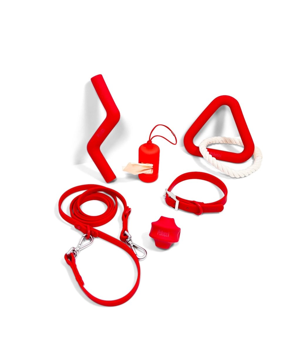 Collar Walk & Play Pack- Pelucci