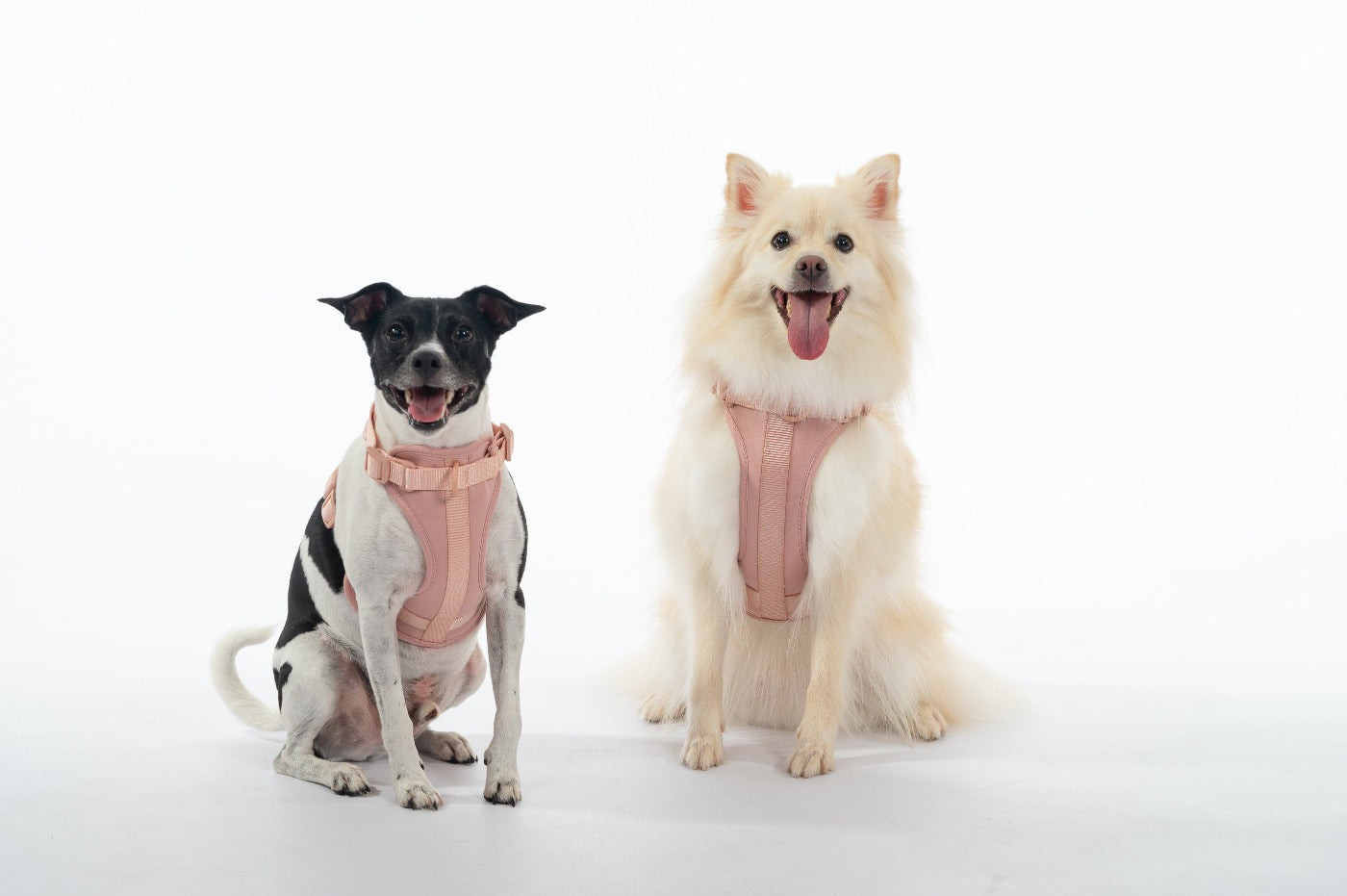 Blush harness 2 dogs 