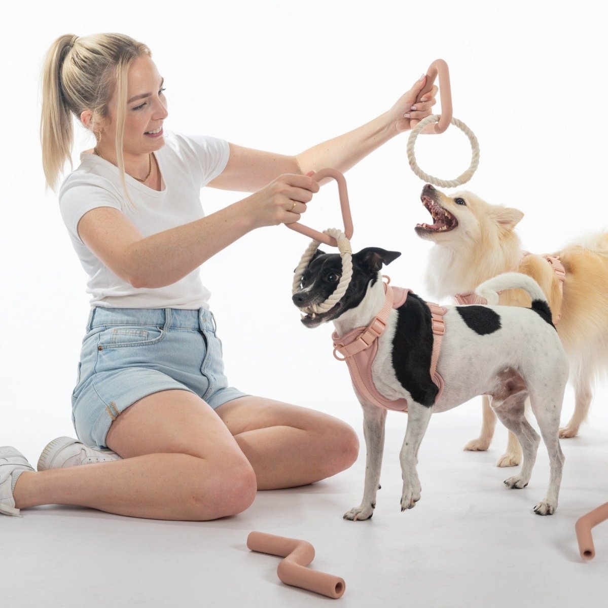 Dog with the Pelucci Play Pack dog toy bundle