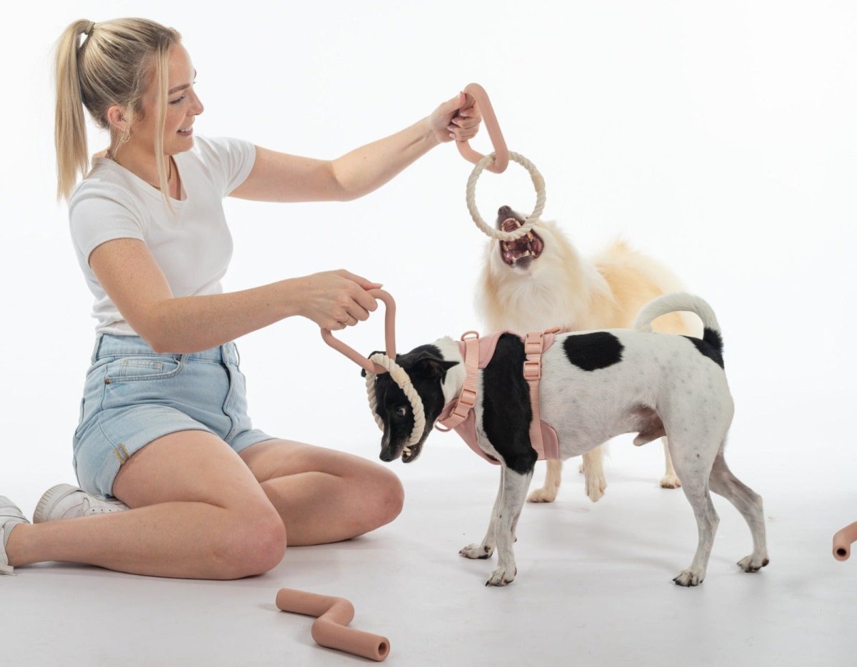 Harness Walk & Play Kit - Pelucci