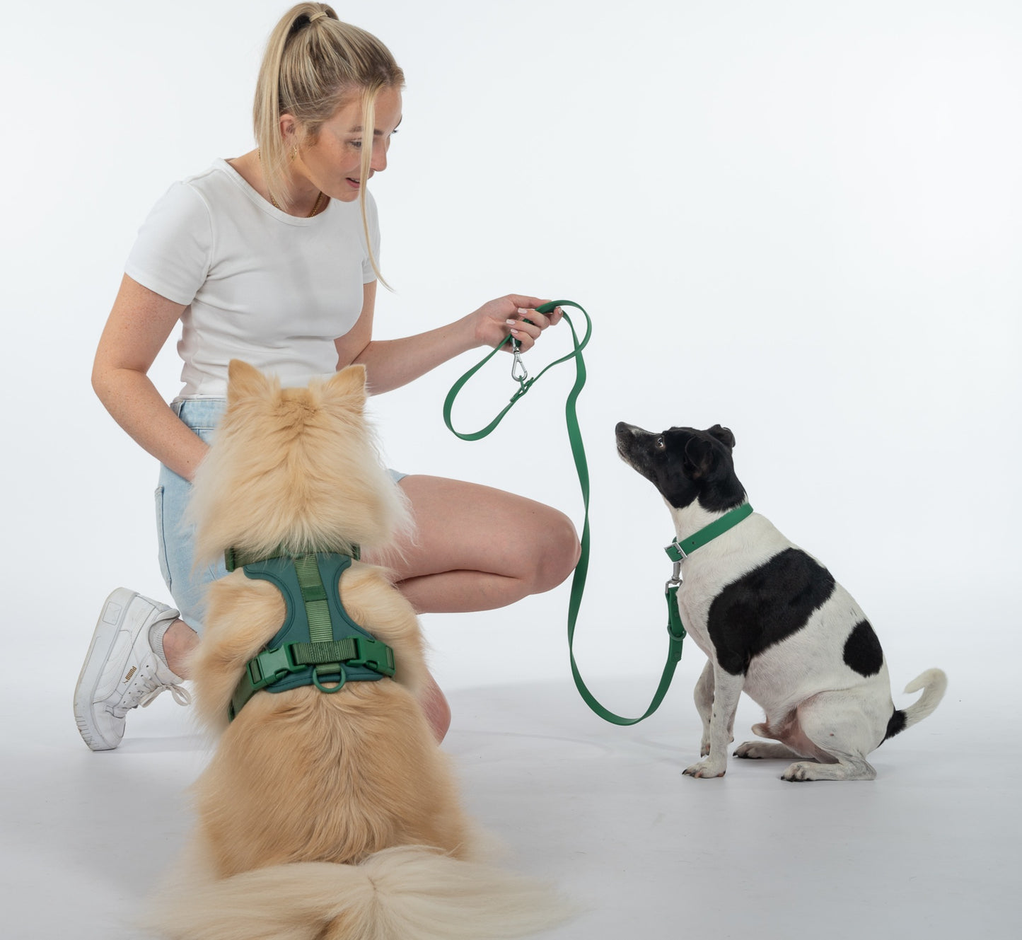 Spruce harness and collar sets 