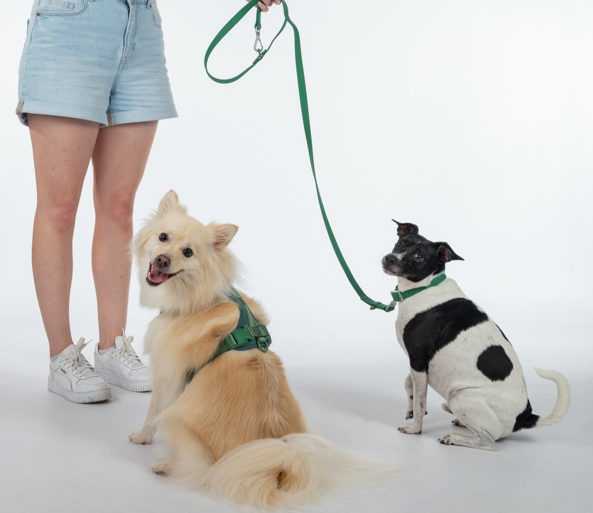 Collar Walk Kit - Pelucci