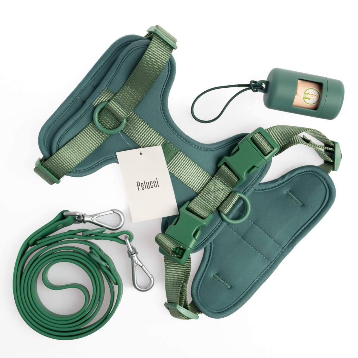 Harness Walk Set- - Pelucci