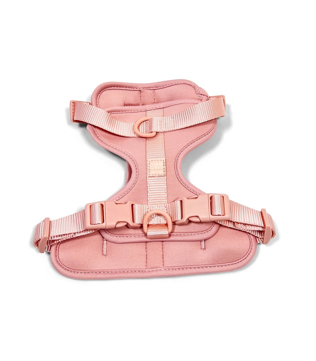 Harness - Pelucci