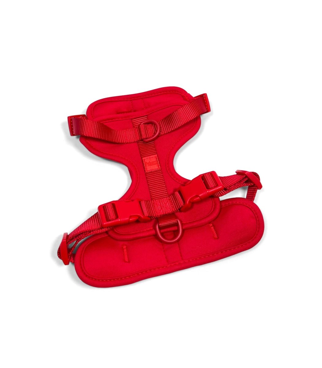Harness - Pelucci