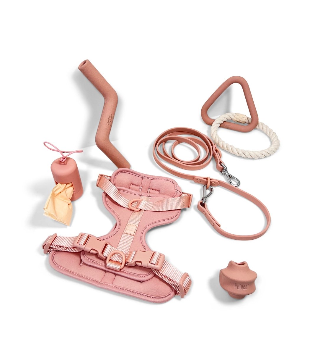 Harness Walk & Play Set-- Pelucci