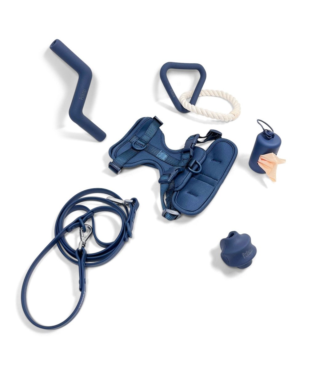 Harness Walk & Play Pack - Pelucci