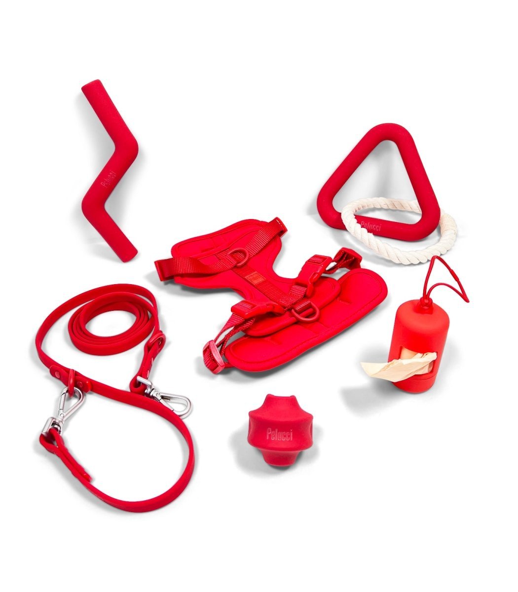 Harness Walk & Play Pack - Pelucci