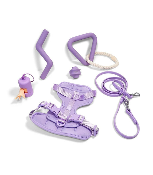 Harness Walk & Play Set- - Pelucci