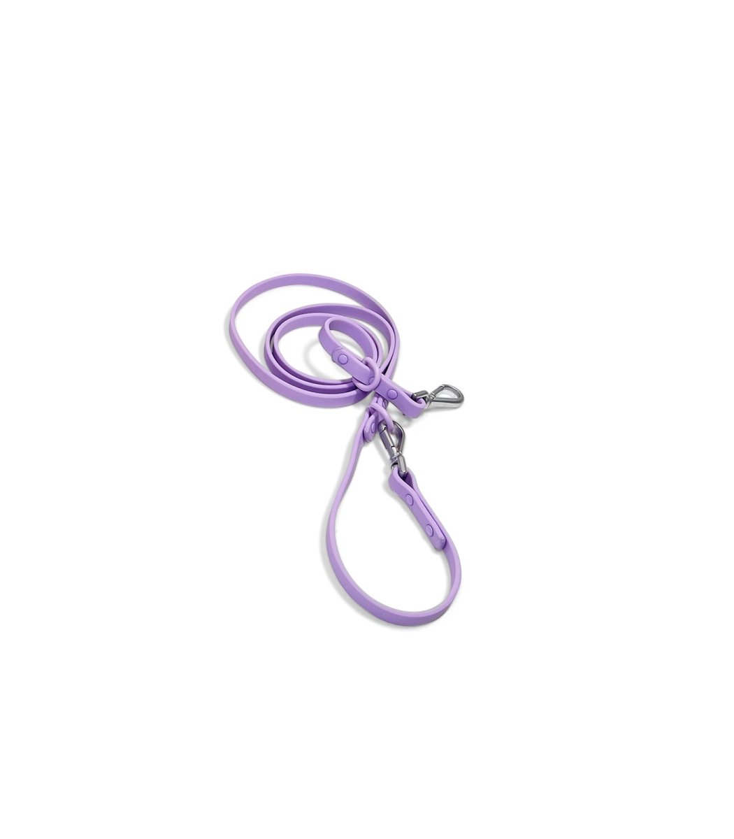 Leash - Pelucci