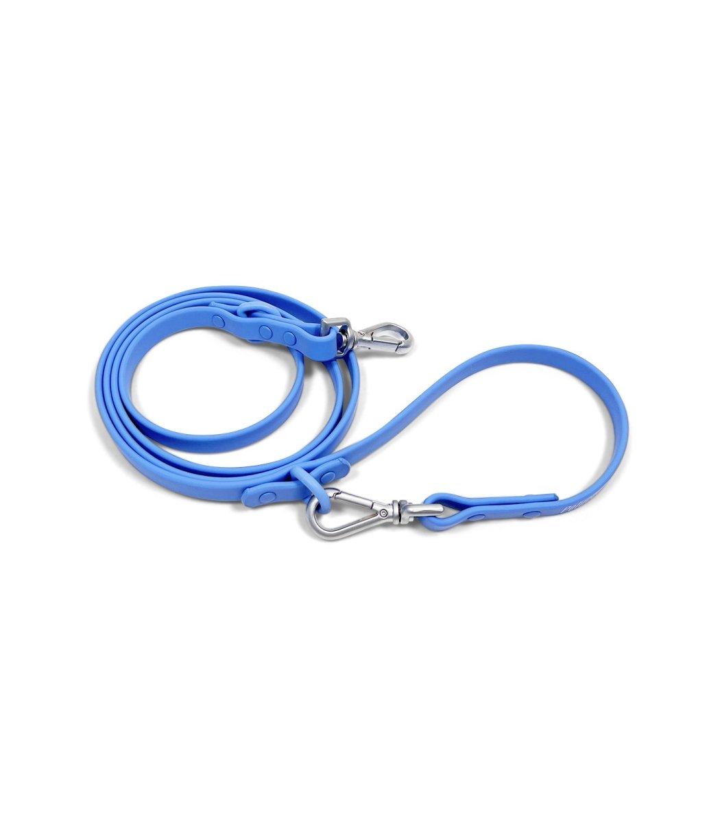 Leash - Pelucci