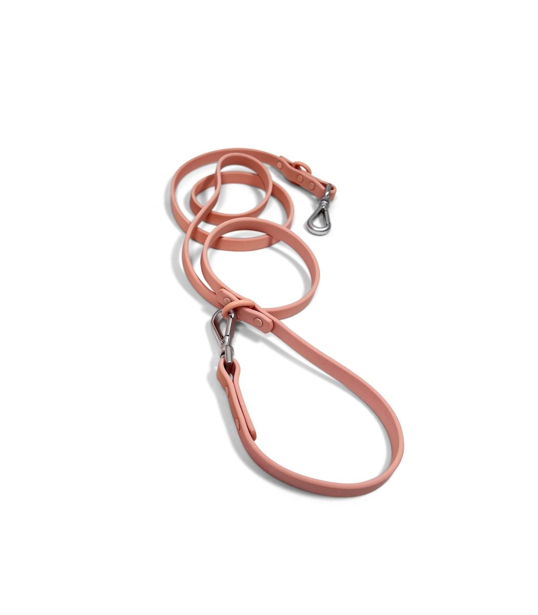 Leash - Pelucci