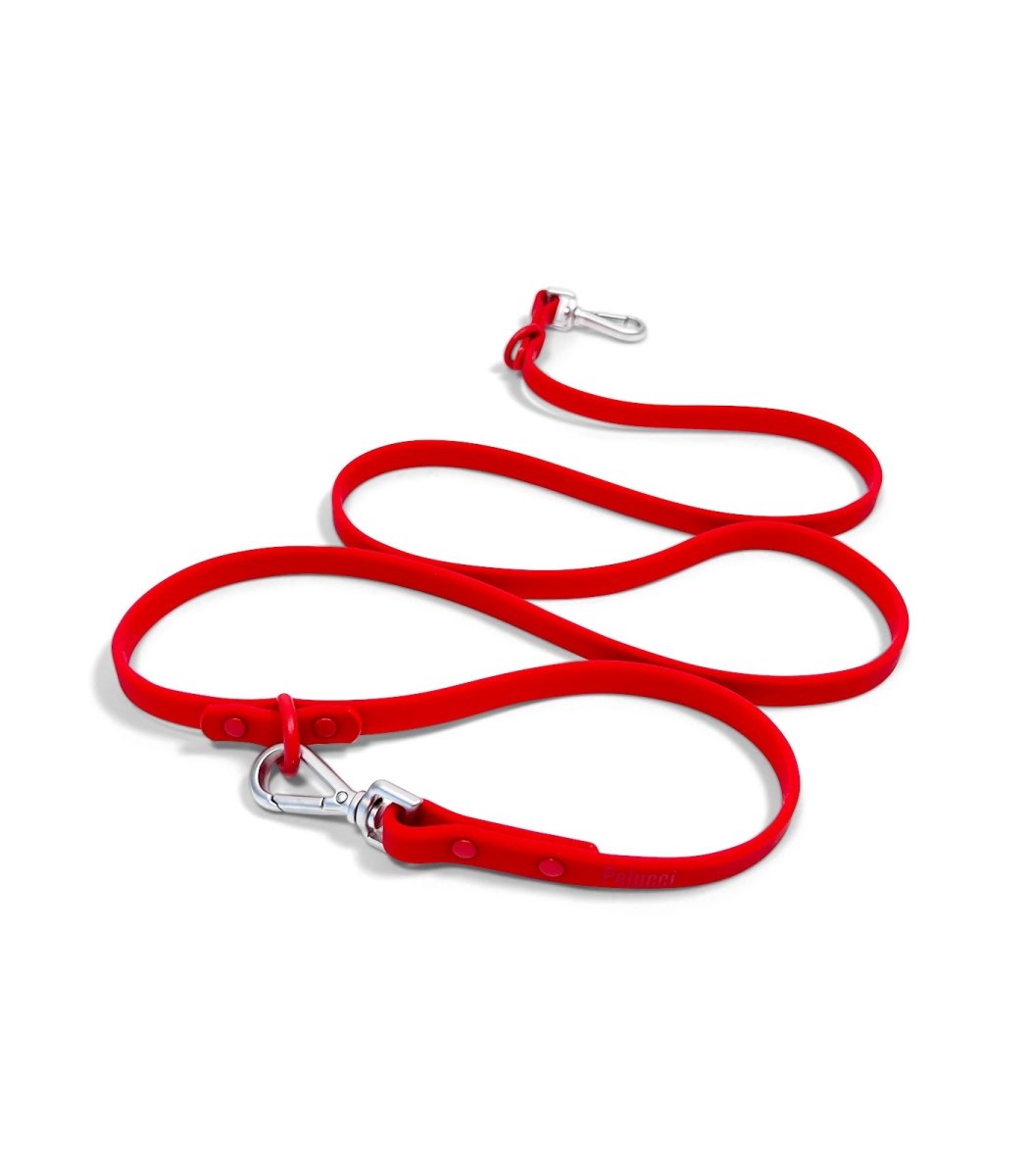 Leash - Pelucci