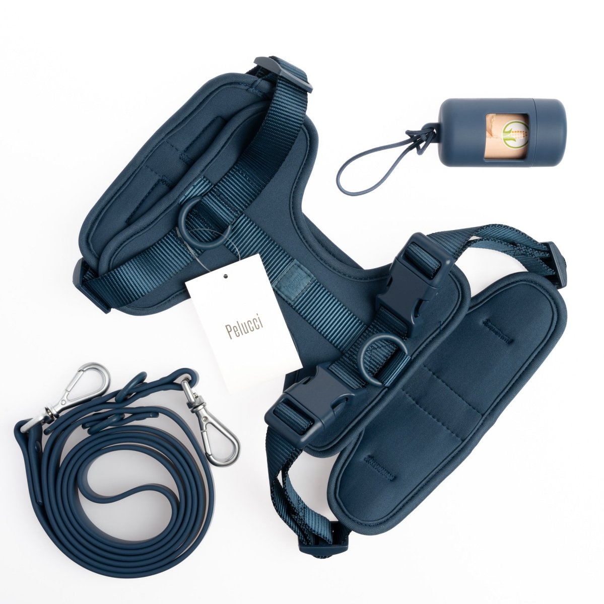Harness Walk Set-- Pelucci