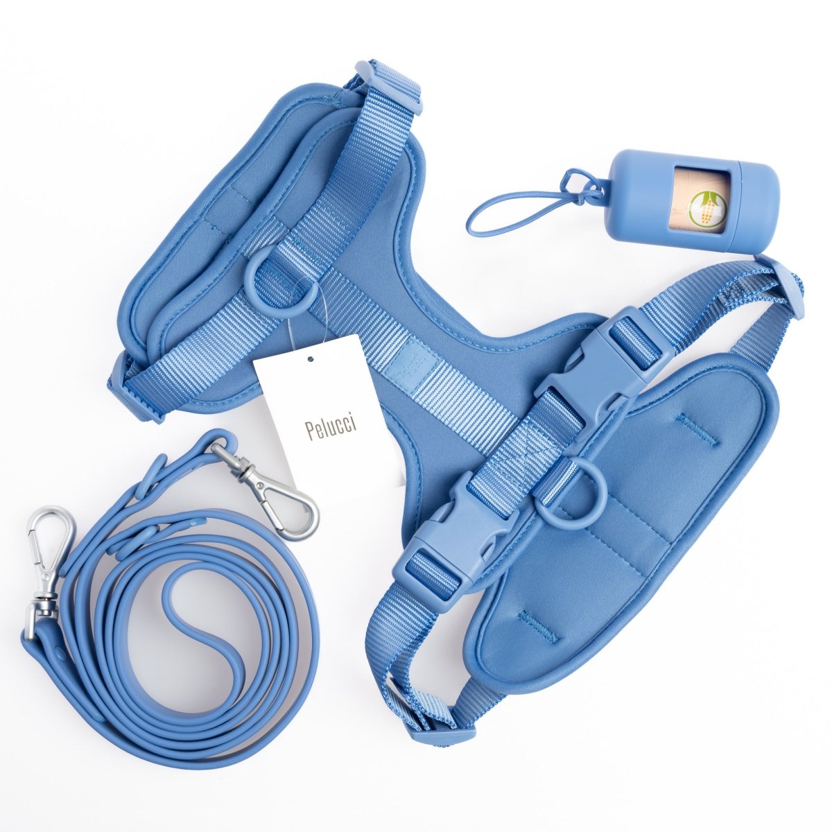 Harness Walk Set-- Pelucci