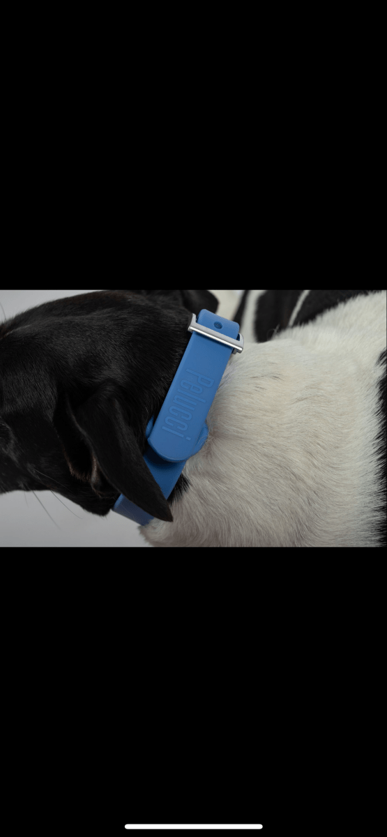 Collar - Pelucci