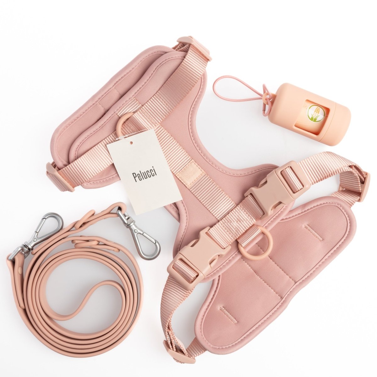 Harness Walk Set-- Pelucci
