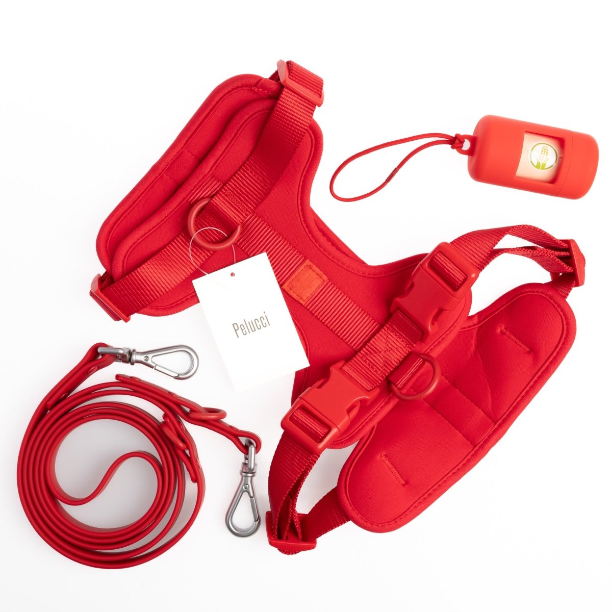 Harness WalkSet-- Pelucci