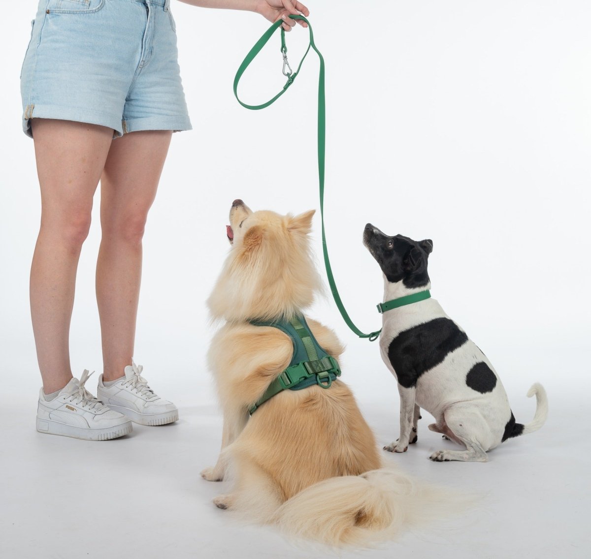 Harness Walk Kit - Pelucci