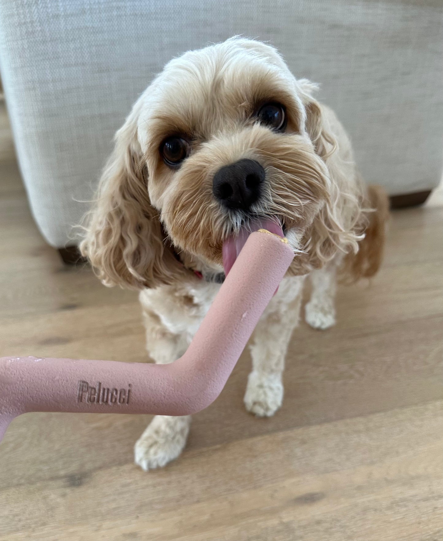 Chew Bolt