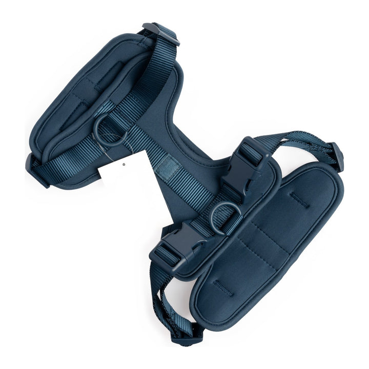 Pelucci Harness