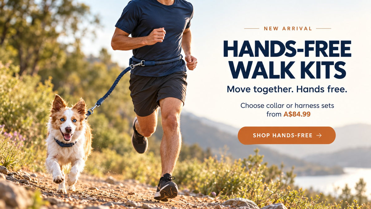 Runner and dog on a bush trail using the Pelucci hands-free lead around the waist