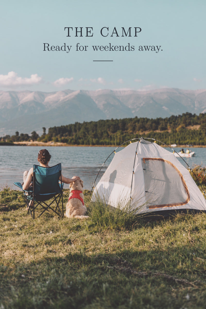 The Camp: camping by a lake with a dog