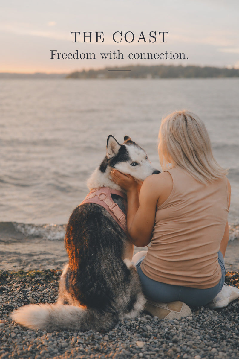 The Coast: sitting with a dog by the water